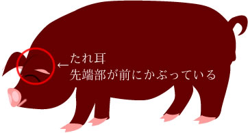 �f�����b�N��