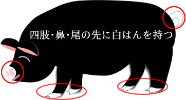 �o�[�N�V���[��