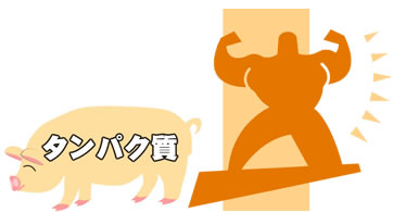 �^���p�N��