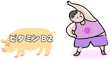 �r�^�~��B2