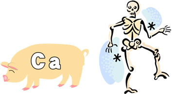 �J���V�E��