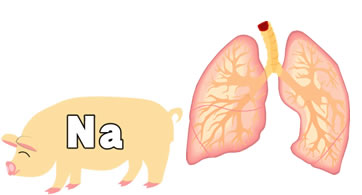 �i�g���E��