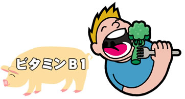 �r�^�~��B1